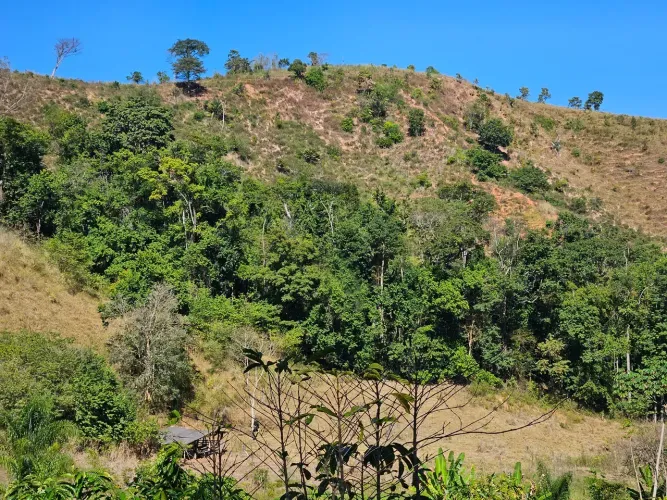 terreno rural 8 hectares em Ipanema MG.
