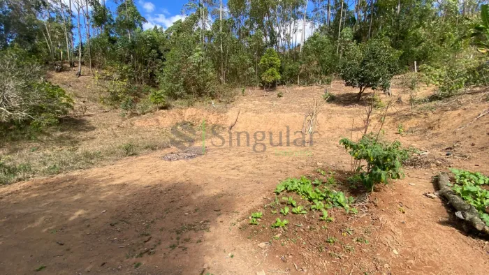 Terreno à venda, 1000 m² - Jardins do Continente - Coronel Pacheco/MG