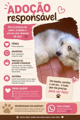 CACHORRINHA PARA DOAÇÃO