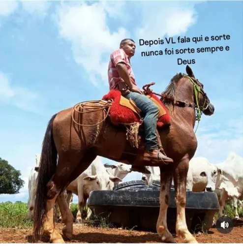 Vaqueiro 