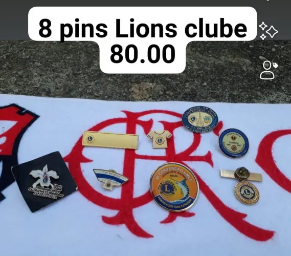 8 Pins do Lions Clube