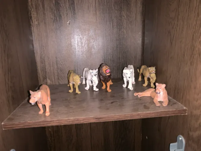 brinquedos da savana