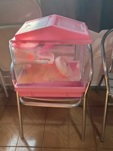 Casinha para ramster 