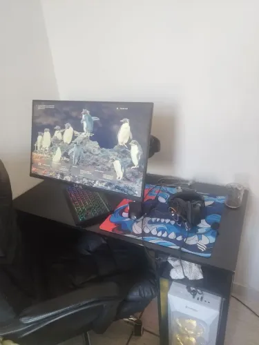 PC gamer COMPLETO 