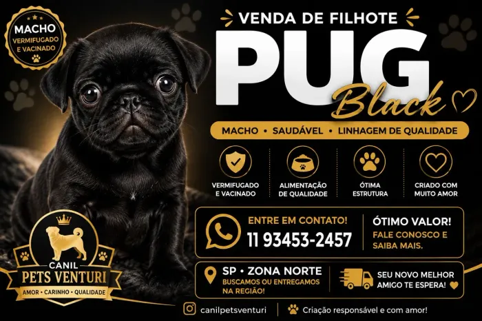 Pug valor imperdível