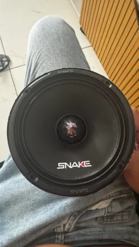 Auto falante snake