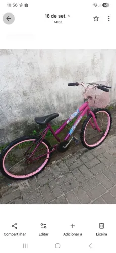 Bicicleta