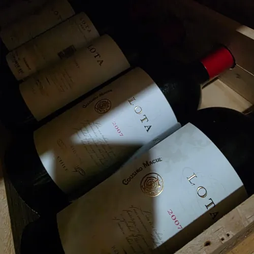 Vinho 2007 Cousino Macul Lota Red, Maipo Valley - Chile