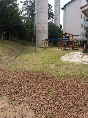 Corte de mato e gramado em Guarulhos - Sp