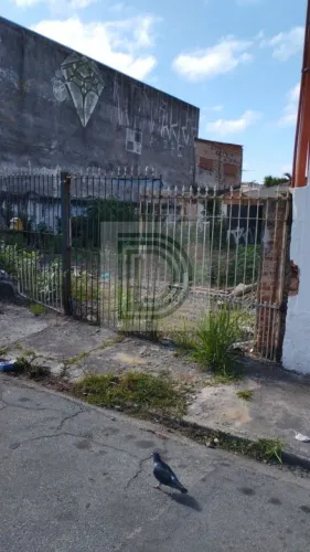 Terreno à Venda | 312,50 m² | Jardim Sarah