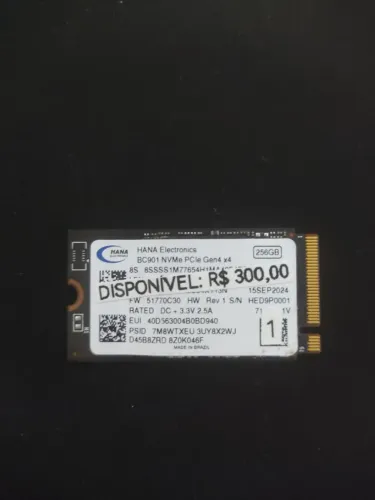 SSD NVMe 256GB - PCIe Gen 4x4 - Upgrade