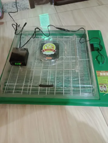 Chocadeira