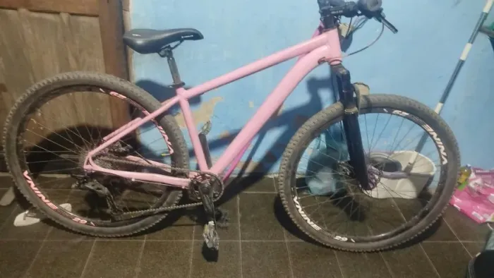 Bicicleta