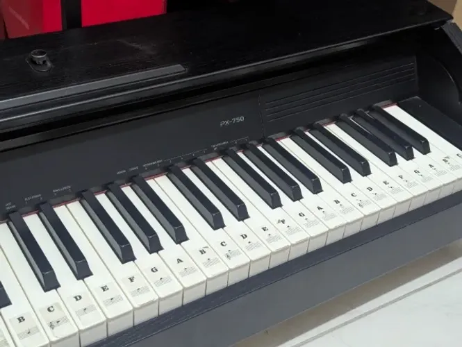 Piano digital Cassio PX750 - Somente o instrumento