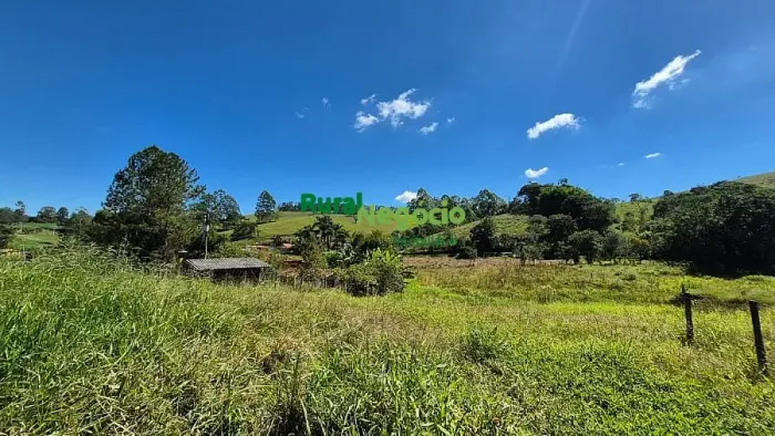 SÍTIO FORMADO COM FÁCIL ACESSO EM LAGOINHA-SP