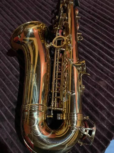 Sax alto dolphin
