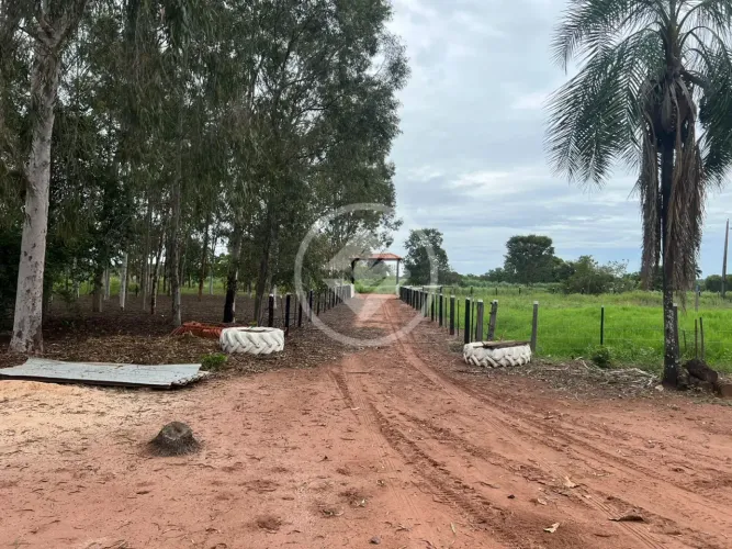 # Oportunidade ...Sitio Santa Helena no Assentamento Caetés em Diamantino com 3 hectares ,