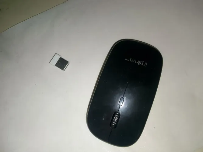 Mouse gamer