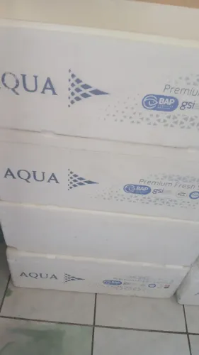 Caixas de isopor 