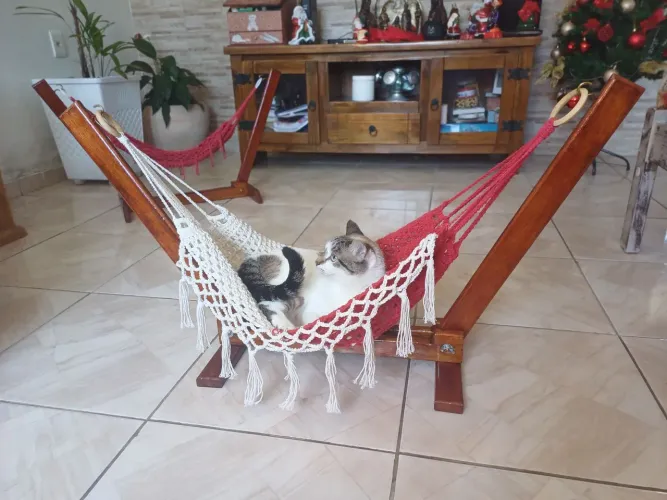 Rede de dormir para pet