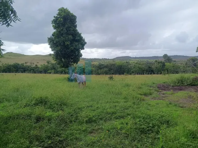 Fazenda com 333 tarefas a 50 km de Aracaju no Povoado Nova Estância