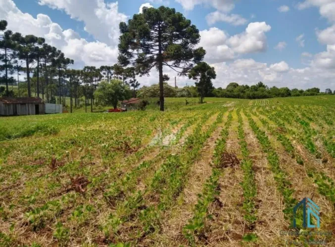 Terreno Rural 184.057,75 m² (18,4 hectares) Caçador/SC