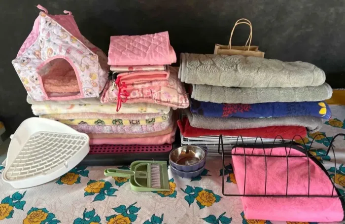 Vende-se enxoval de Porquinhas da Índia!