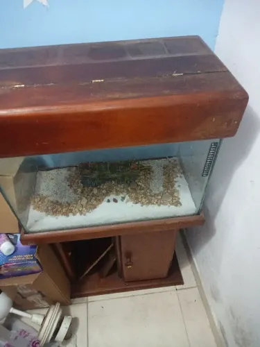 Aquário 75tls