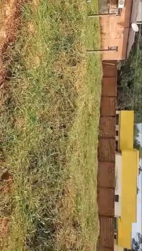2 Terreno, comunidade Maroaga