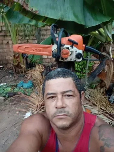 Corte de árvore e podagem 