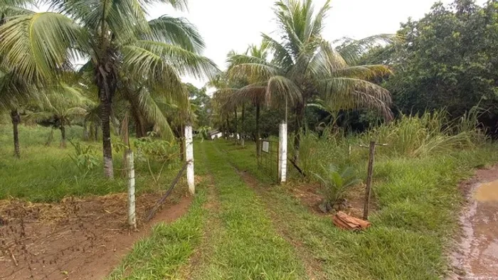 Ótima chácara venda em S.João Nepomuceno MG.
