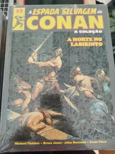 A espada selvagem de conan 22