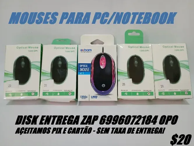 MOUSE