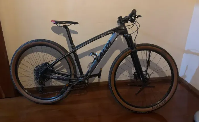 Caloi Elite Carbon