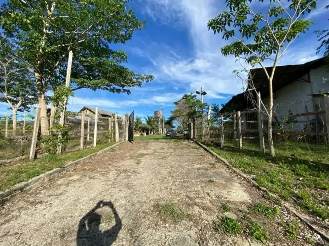 VENDO ÁREA DOCUMENTADA COM 250 MIL M2 NA PISTA DA AM 010 - MANAUS - AM Á 15 MINUTOS DA BAR