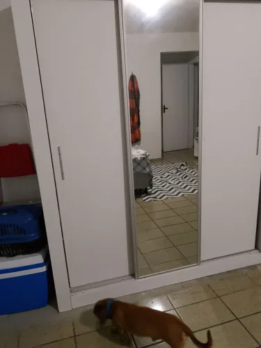 Guarda-Roupa Branco 3 Portas de Correr com Espelho