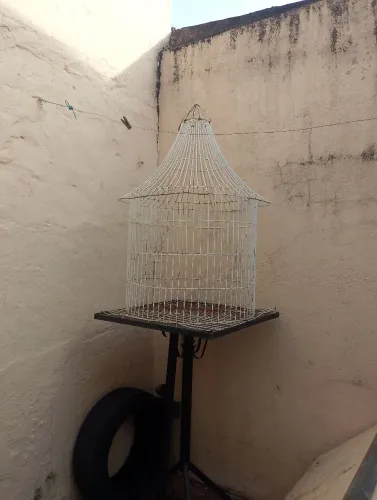 Gaiola grande pra calopsita