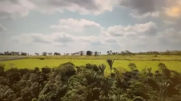 7,5 hectares em Zona Urbana - Próximo a Águas da Serra