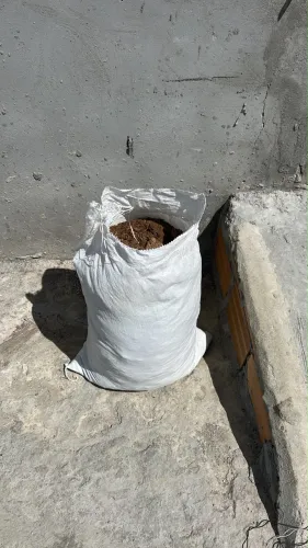 Esterco de galinha poedeira