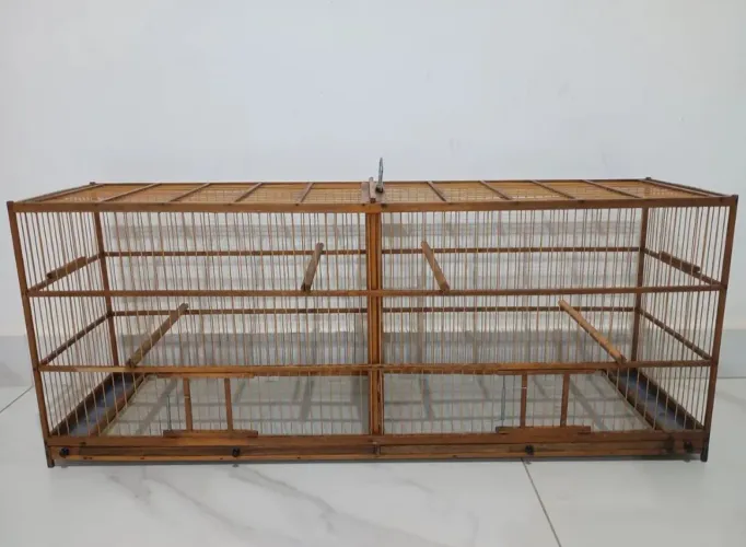 Vendo voador com repartição
