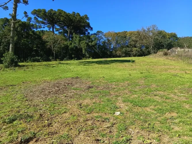 VENDO LINDO TERRENO ( CENTRO DE BATEIAS/ CAMPO LARGO 