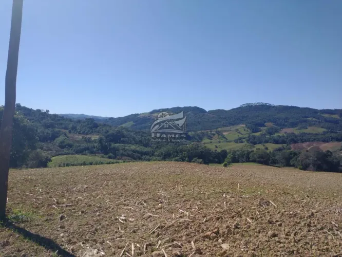 Terreno Rural para Venda em Angelina, RIO NOVO