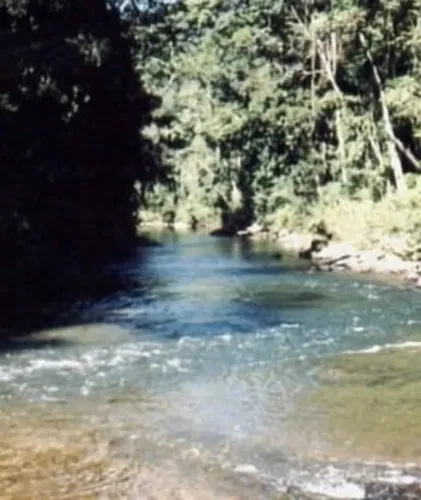 *ÁREA DE MATA ATLÂNTICA A VENDA NO ESTADO DE SÃO PAULO* ?? Localização: Iporanga-SP / Vale