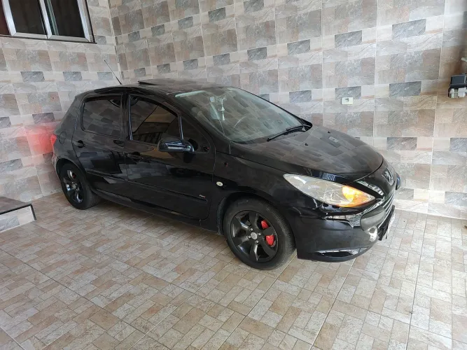 Peugeot 307 Soleil/ Presence 1.6/1.6 Flex 16V 5P 2010