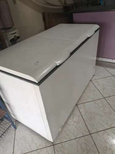 FREEZER DUAS TAMPAS