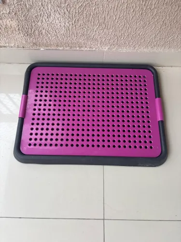 SANITÁRIO PET NOVINHO SÓ 30$