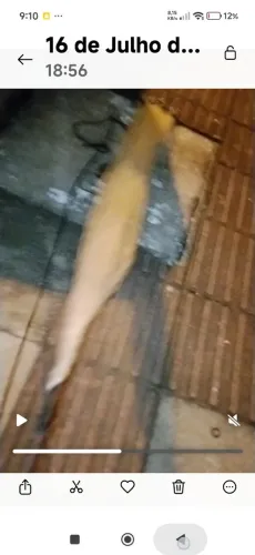 Tarrafa camarão malha 1