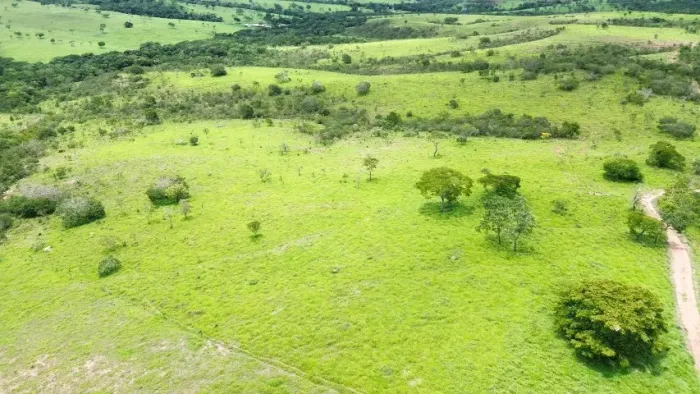 Fazenda Dupla Aptidão -Luziania - GO / Ocidental Area 457 ,8 hectares - R$ 16 Milhões