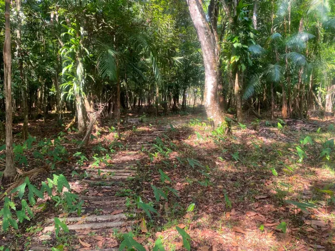 TERRENO EM MARAPANIM