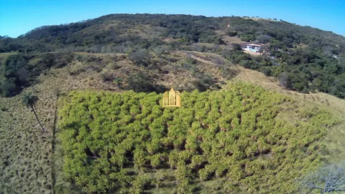 FAZENDA 230.000M² EM CONDOMÍNIO - MATOZINHOS